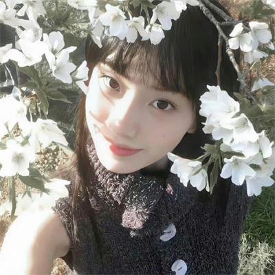 少年无求 封面